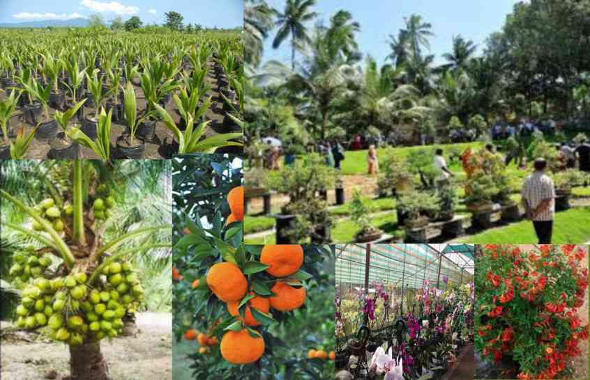 VISHNU GARDENS NURSERY GARDENS in kanyakumari district